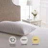 Cheapest ✨ Dorma Dorma Hungarian Goose Down Soft-Support Pillow ❤️