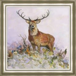 New 😍 Dorma Dorma Majestic Stag Framed Print ✨