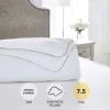 Wholesale ✨ Dorma Dorma Full Forever Anti Allergy 7.5 Tog Duvet ⌛