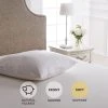Best Pirce 👍 Dorma Dorma Hungarian Goose Down Continental Square Pillow 🥰