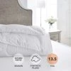 Buy 🔔 Dorma Dorma Dream Deluxe 13.5 Tog Duvet ✔️