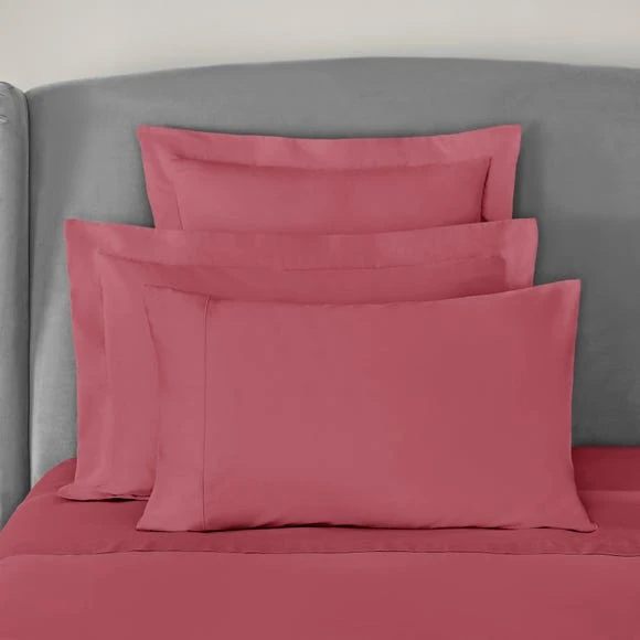 Buy 🥰 Dorma Dorma 300 Thread Count 100% Cotton Sateen Plain Continental Square Pillowcase ⌛ 5 Buy 🥰 Dorma Dorma 300 Thread Count 100% Cotton Sateen Plain Continental Square Pillowcase ⌛ - Image 5