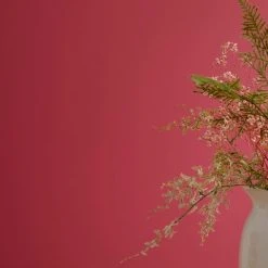 Best Sale β Dorma Dorma Slate Rose Matt Emulsion Paint β