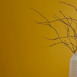 Hot Sale ✨ Dorma Dorma Indian Yellow Matt Emulsion Paint ❤️