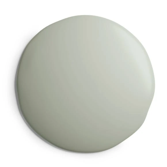 Budget ⌛ Dorma Dorma Grey Green Eggshell Paint ❤️ 3 Budget ⌛ Dorma Dorma Grey Green Eggshell Paint ❤️ - Image 3