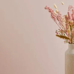 Coupon 👍 Dorma Dorma Blush Eggshell Paint 🧨