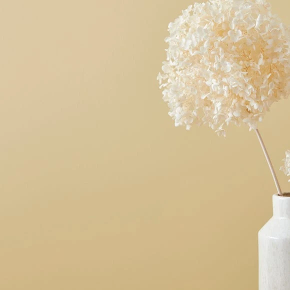 Flash Sale π Dorma Dorma Buttermilk Eggshell Paint βοΈ 1 Flash Sale π Dorma Dorma Buttermilk Eggshell Paint βοΈ