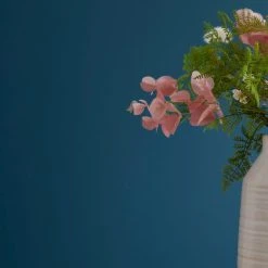 Best Pirce 🎉 Dorma Dorma Dragonfly Teal Eggshell Paint ⌛